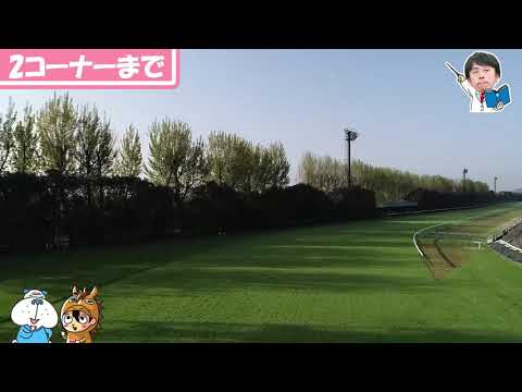 【4K】ドローン「哲三ビジョン」2018天皇賞・春編 京都競馬場 【日刊スポーツ】