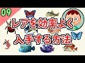 【ポケ森】レア虫・魚を効率よく入手する方法【どうぶつの森ポケットキャンプ】