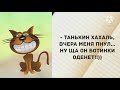 - Ой, Фимочка Вам уже а сорок.. Прикольные анекдоты дня! Одесский юмор