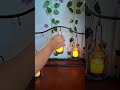 Decorating the Library ✨️ #booktube #booktok #decorating #bookshelf #flowers #vines #candle #books