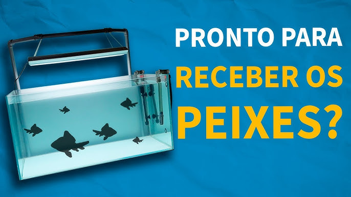 Peixe Cobrinha Kuhli Black - Aquática Peixes