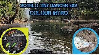 SOTELO TINY DANCER 50S COLOUR INTRO (SEBARAU CASTING)