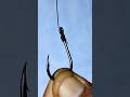 Fishing Knots - How To Tie a Hooks #shorts