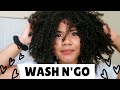 HOW TO GET A DEFINED WASH N&#39; GO ON DAMAGED NATURALLY CURLY HAIR