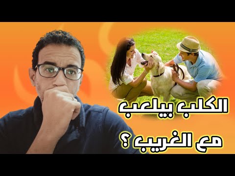 فيديو: هل من الساخن جدا على المشي كلبك؟ وإليك طريقة سهلة لمعرفة ذلك