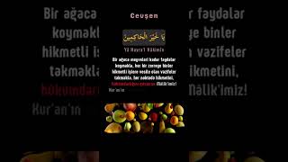 Allah'ı Tanıyoruz - Cevşen 11 #islam #zikir #dua #marifet