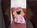 What if loulou was a working barbie  pug dog barbie