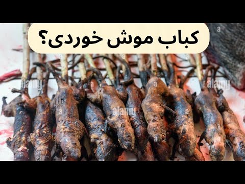 غذاهای چندش این داستان موش