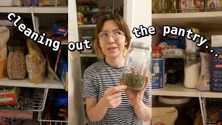 ⚠️ let's organize the pantry🥫& try to come up with meal ideas along the way...🌱 by emily ewing 18,035 views 11 months ago 22 minutes