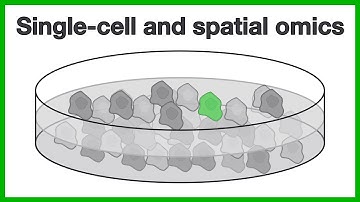 Single cell and spatial omics: A short introduction to the core concepts of scRNA-seq and more