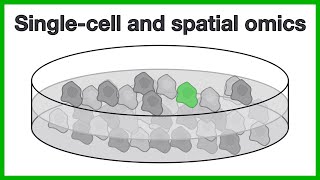 Single cell and spatial omics: A short introduction to the core concepts of scRNA-seq and more