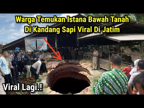 Warga Gempar !! Warga Temukan Istana Bawah Tanah Di Kandang Sapi Viral Di Jatim