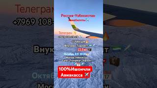 #shortvideo #2025 #pulkovo #airport #short #musofir #москва #россия #узбекистан #short