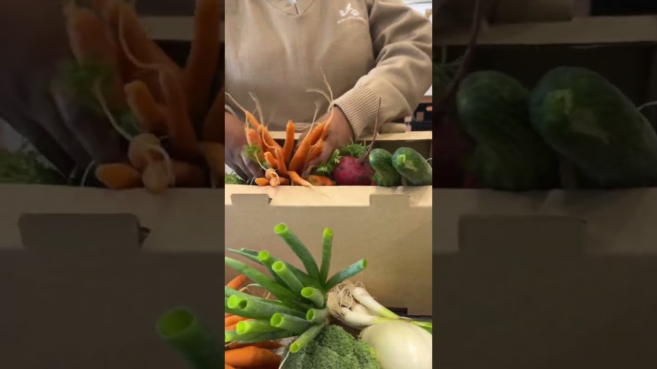 Daily dose of Donelle: Seasonal harvest box 🥕