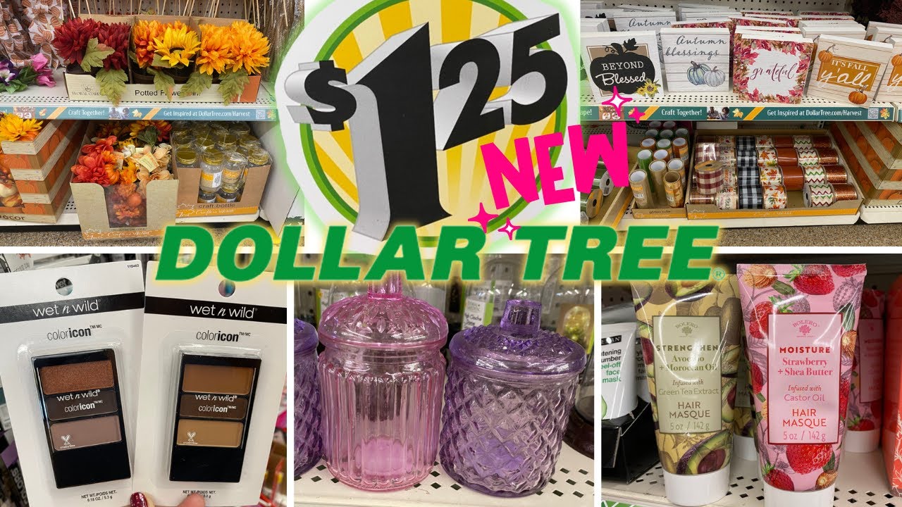 Dollar Tree all new finds/NEW Dollar Tree FALL 2022 new items/DOLLAR
