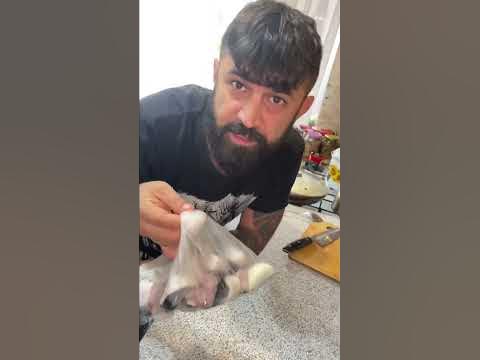 Скумбрия - YouTube