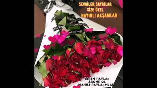 Hayırlı Akşamlar Mesajı