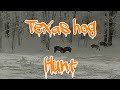 Hog hunting in texas with multiple hog drops