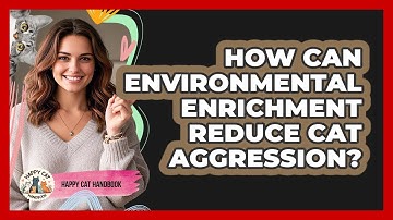 How Can Environmental Enrichment Reduce Cat Aggression? - Happy Cat Handbook