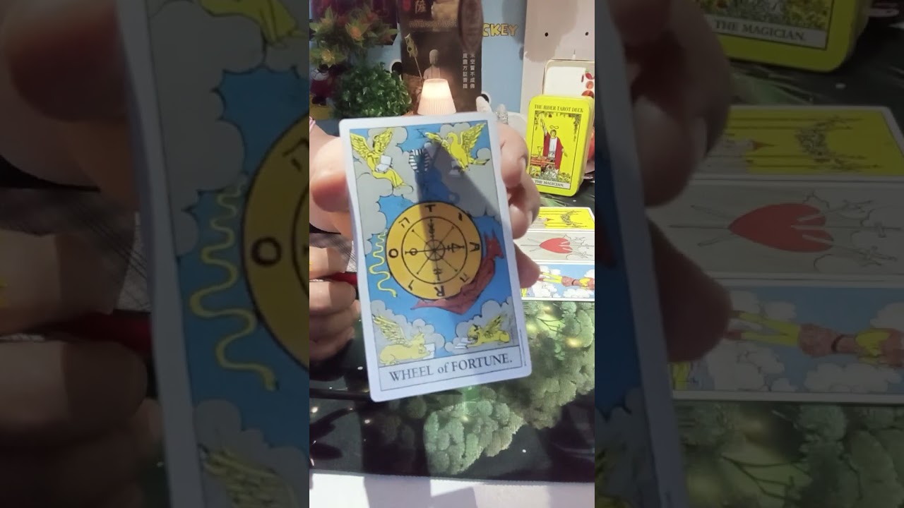 🌬️🌬️ช่วงนี้ระวังคุณจะพบกับพลังงานของนกสองหัว❓❓❓❓❓❓