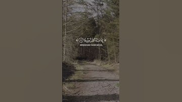 ﴿إِنَّ الْإِنسَانَ خُلِقَ هَلُوعًا﴾ | تلاوة تهز القلوب من سورة المعارج