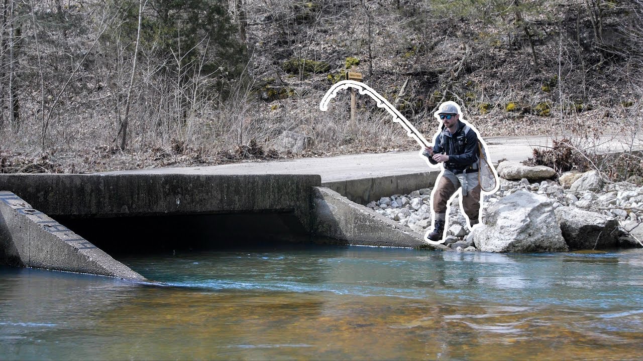 BIG Fish Hunting in a SMALL Creek!!! YouTube