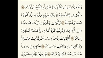 القارئ / سمير عزت
