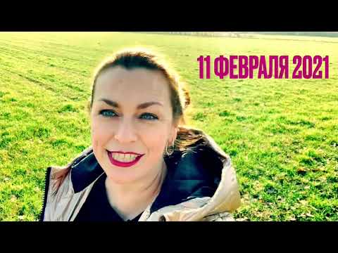 Год Быка. Восточный календарь. Астролог Оливия Прави