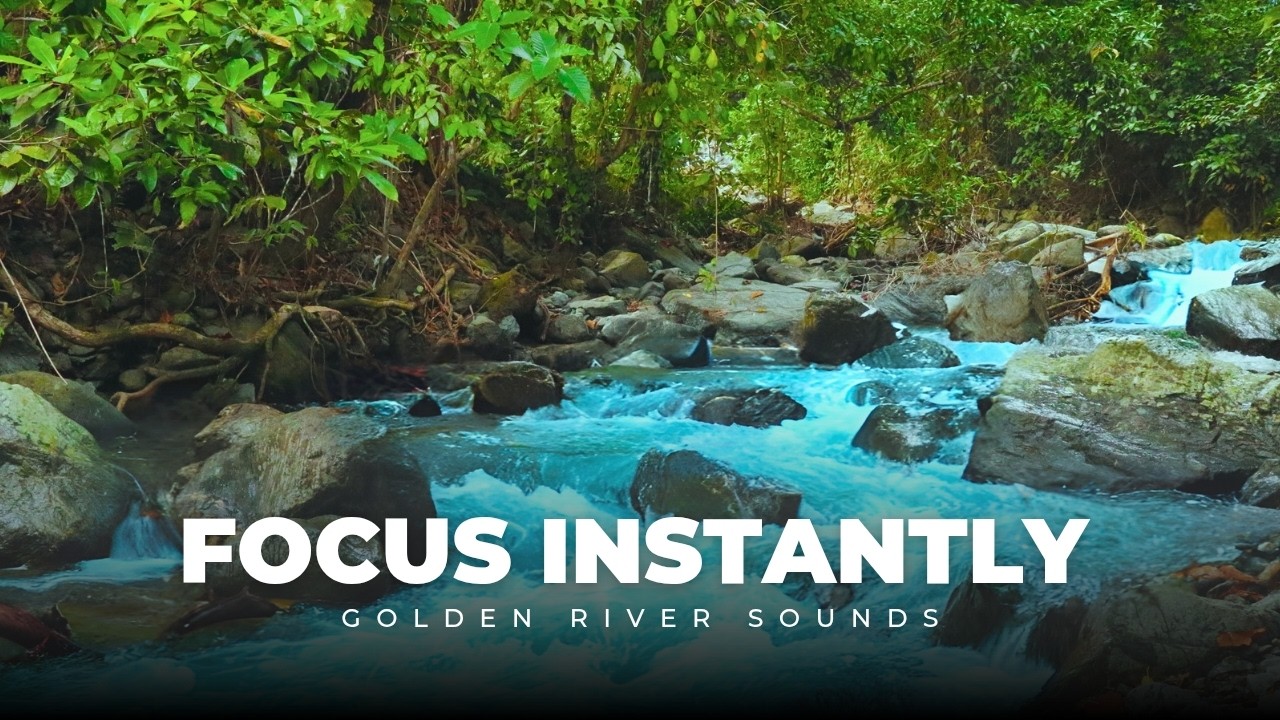 Golden River Sounds for Deep Focus & Relaxation ☕