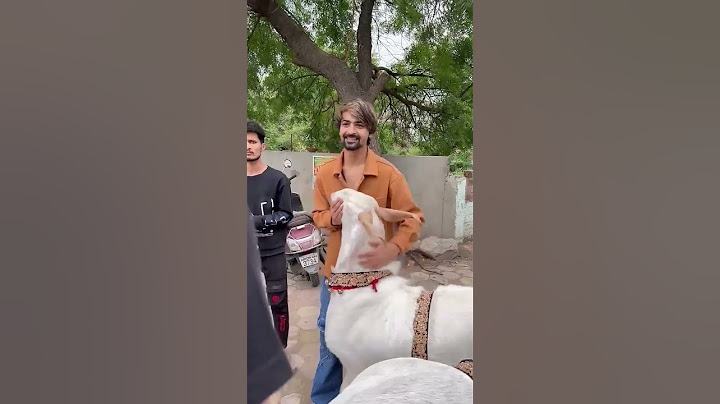 1 lakh ka bakra 2 lakh me kyu kharida🥺🐑🙏🏻. #shorts #eid #shadab707 #bakra #ytshorts #shadab5star #yt