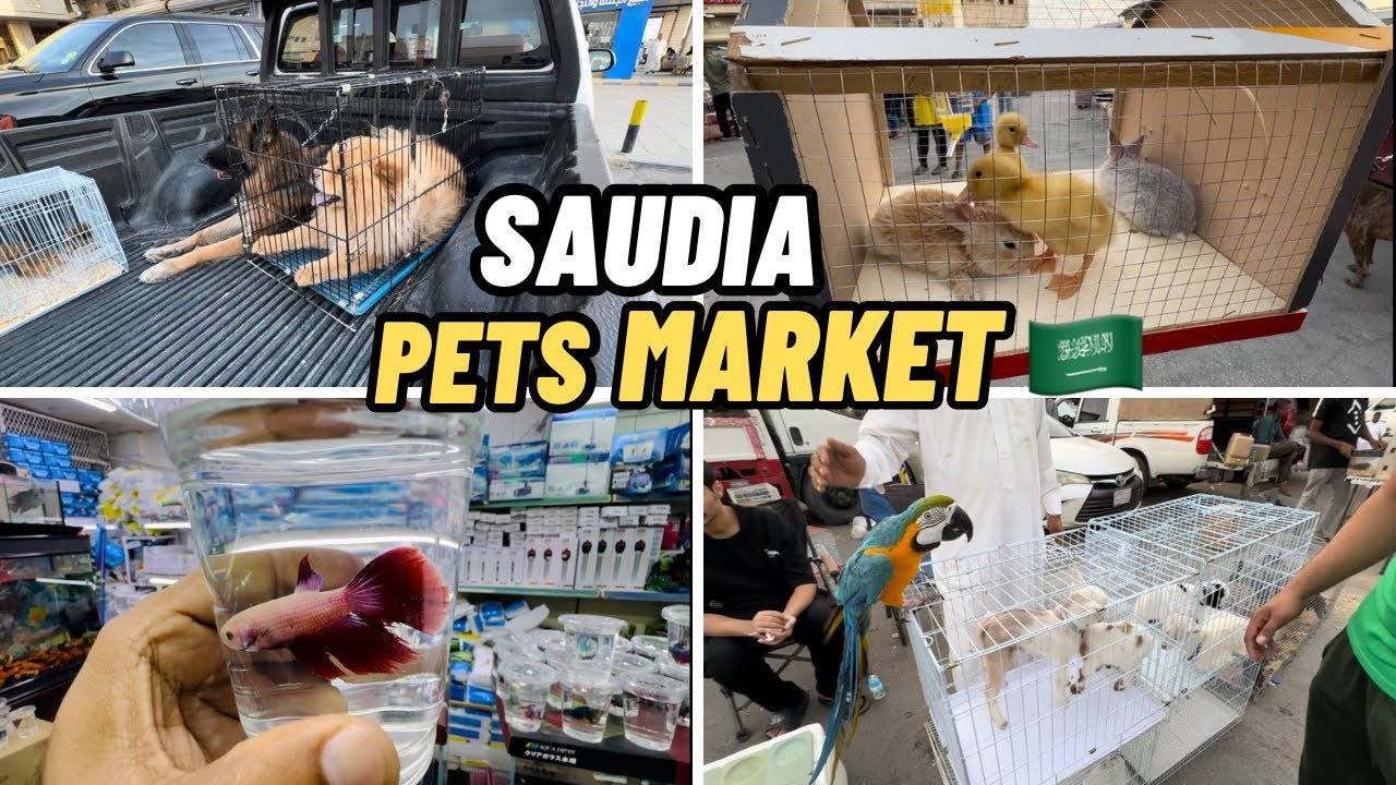 Saudi Arabia Riyadh | Pets Market | Cat Dog Fish Bird Rabbit - YouTube