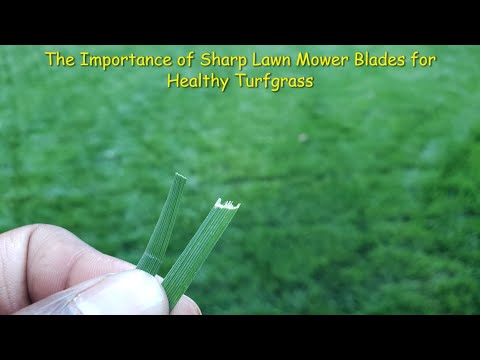 Importance of Sharp Mower Blades