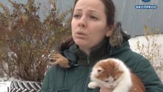 В Пензе выступят против издевательств над животными В Пензе выступят против издевательств над животными