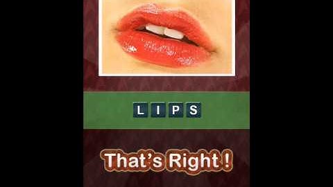 Whats The Pic Scrambled Level 211-220 Answer Guide