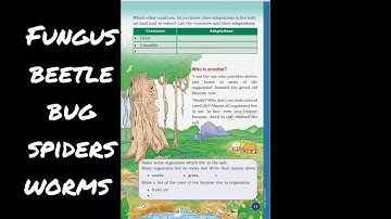 FIELDS AND FORESTS| Chapter 1| Grade 4| EVS| Part 3