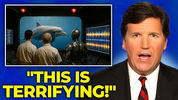 Scientists Just Decoded Language of the Dolphins Using AI... And It