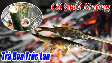 Thử Thách Sinh Tồn Trong Rừng Già • Đặt Bẫy Gà Rừng Và Món Cá Suối Nướng - P1