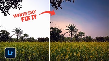 3 Ways to Fix Overexposed Background in Lightroom Mobile