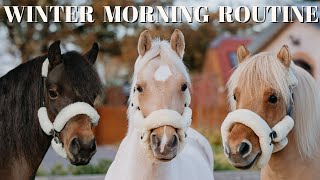 WINTER MORNING ROUTINE WITH 3 PONIES!
