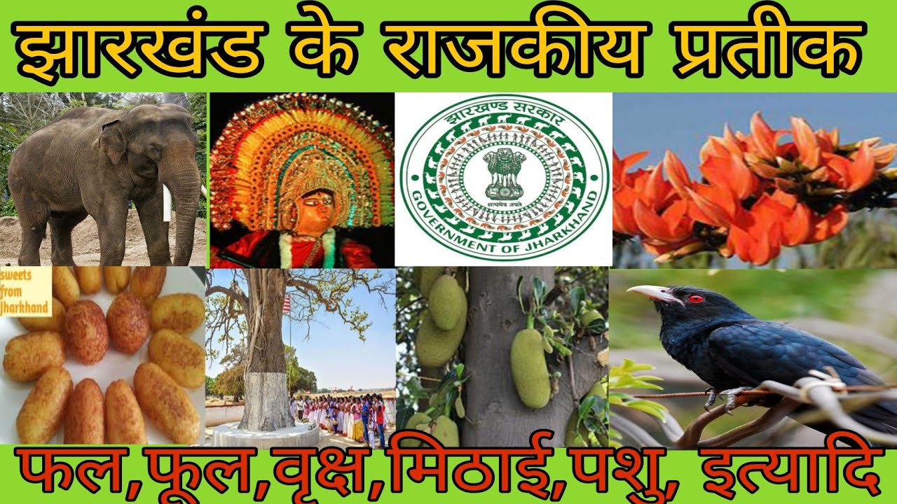 Jharkhand rajya k rajkiya pratik, पशु, पक्षी,फल,फूल,वृक्ष, मिठाई, भाषा ...