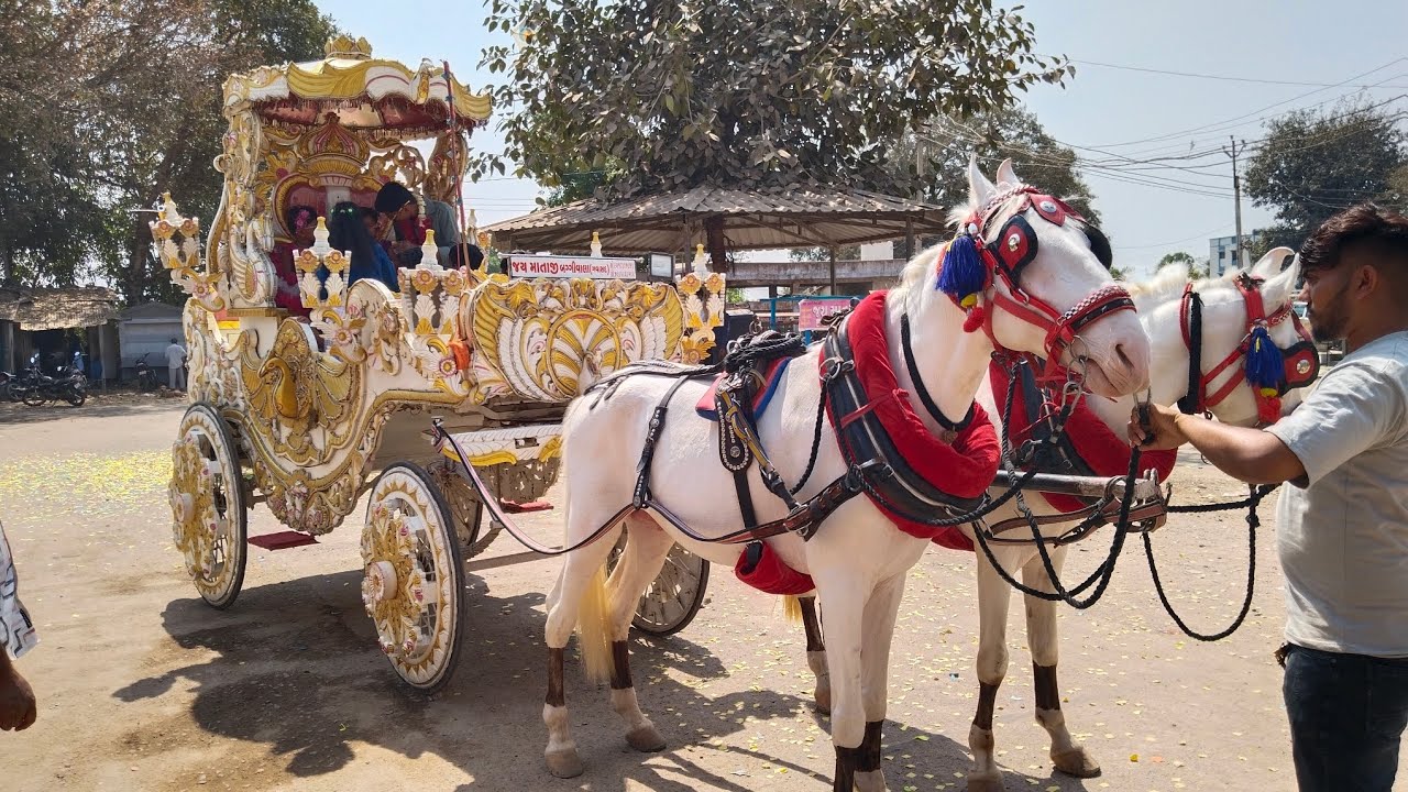 Ghoda baggi# ashav premi# Jay mataji baggiwala# vlog channel subscribe now#