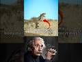 How does a dragon’s body merge into the soil after it dies?&quot;#shorts #shortsfeed#viral