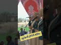 حفلات الطفل العبقرى حفلات الطفل العبقرى