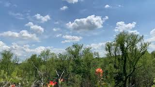 Spring cloud movement Timelapse.