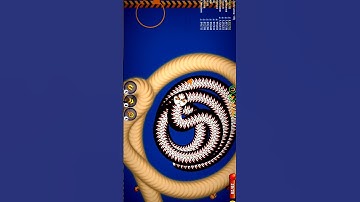 🐍WormsZone.io ❤001 Slither Snake Top01 /Best World Record Snake Epic cacing WormsZoneio #242