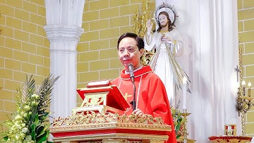 BÀI GIẢNG HAY NHẤT VỀ THÁNH TỬ ĐẠO  ĐỨC CHA HENARES - MINH  - LM GIUSE VŨ NGỌC TỨ