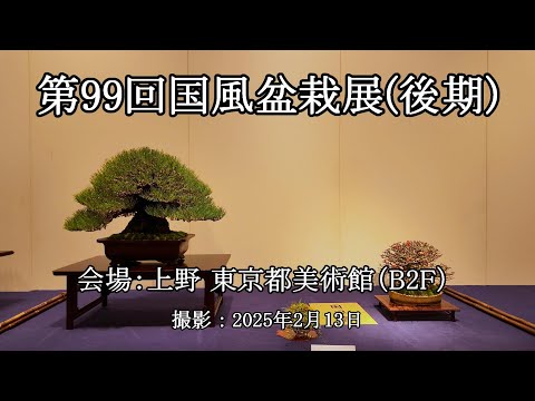 貴重盆栽登録樹集 昭和55年〜令和3年 貴重盆栽登録樹集 昭和55年〜令和3年 - メルカリ