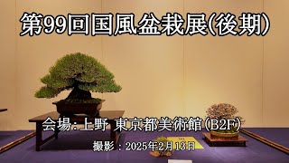国風盆栽展　49回　日本盆栽協会 国風盆栽展 49回 日本盆栽協会 国風盆栽展・イベント | 【公式】