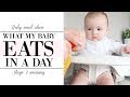 WHAT MY BABY EATS IN A DAY | BABY MEAL IDEAS - STAGE 2 WEANING | VLOGTOBER #11