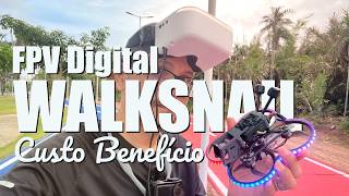 CADDXFPV AVATAR Walksnail Goggles L e Moonlight | UNBOXING, BIND, MONTAGEM E TESTES